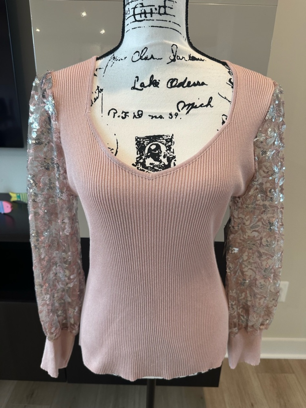 Absolutely Famous Blush Pink V-Neck Sweater with Sheer Floral Sleeves - Picture 9 of 10